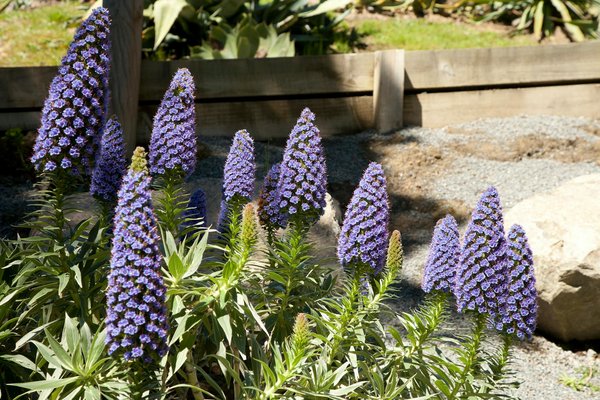 Créer une atmosphère enchanteresse avec les tapis fleuris